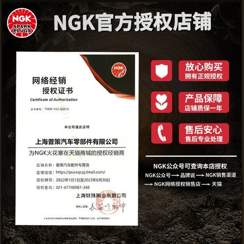 NGK 5547 Зажигательная заглушка PFR6W-TG подходит для Audi A6A8LQ7S5 Volkswagen Phaeton Touareg S8 5.2L