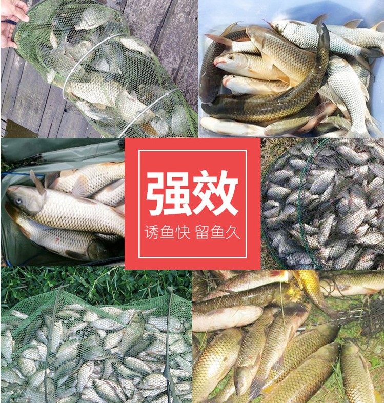 南极磷虾粉红虾粉秘鲁进口鱼粉鱼骨粉鱼饵窝料饵料添加剂黑坑竞技,淘宝优惠券,粉丝福利购,淘宝优惠卷
