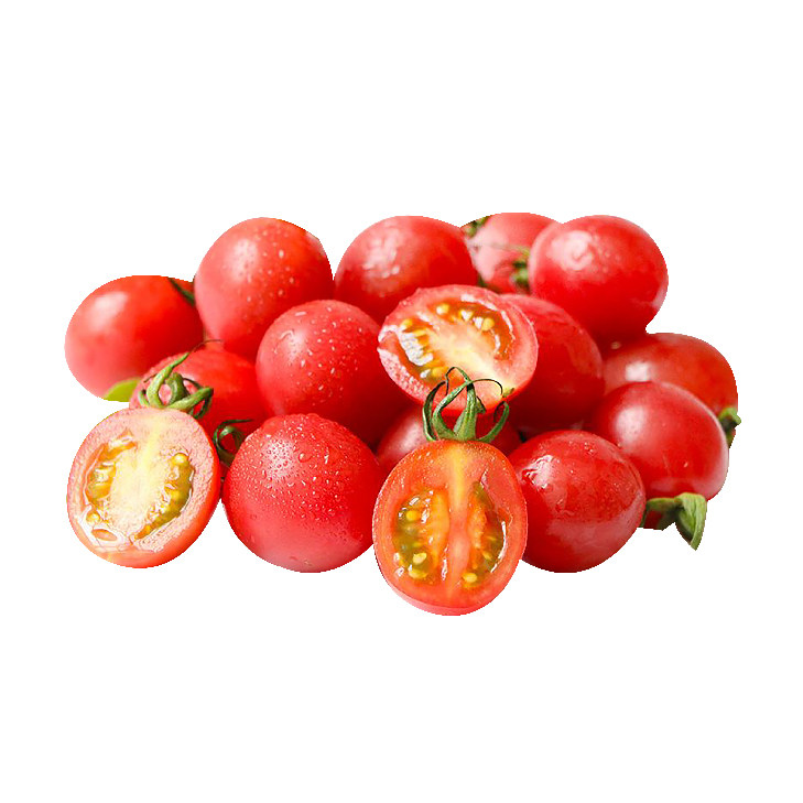 超甜正宗釜山88番茄苗秧带土球红樱桃西红柿圣女果种子阳台盆栽苗,淘宝优惠券,粉丝福利购,淘宝优惠卷