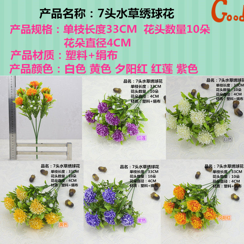 菊花草水草 新人首单立减十元 21年8月 淘宝海外