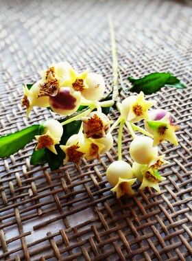 花海大世界仿真花浆果石榴红果