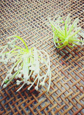 diy素材半成品满天星金银花环