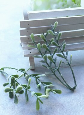 花海大世界植绒绿植白霜仿真花