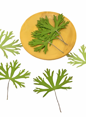 老鹳草五叶压花diy天然植物标本