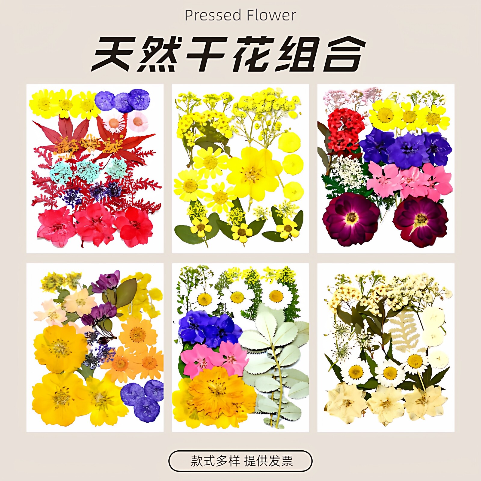 干花压花押花DIY材料包真树叶植物标本 幼儿园手工拼贴画滴胶相框