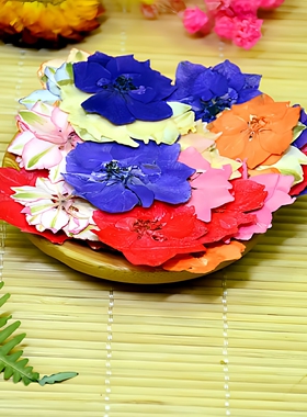 飞燕花干花幼儿园DIY粘贴脸妆画