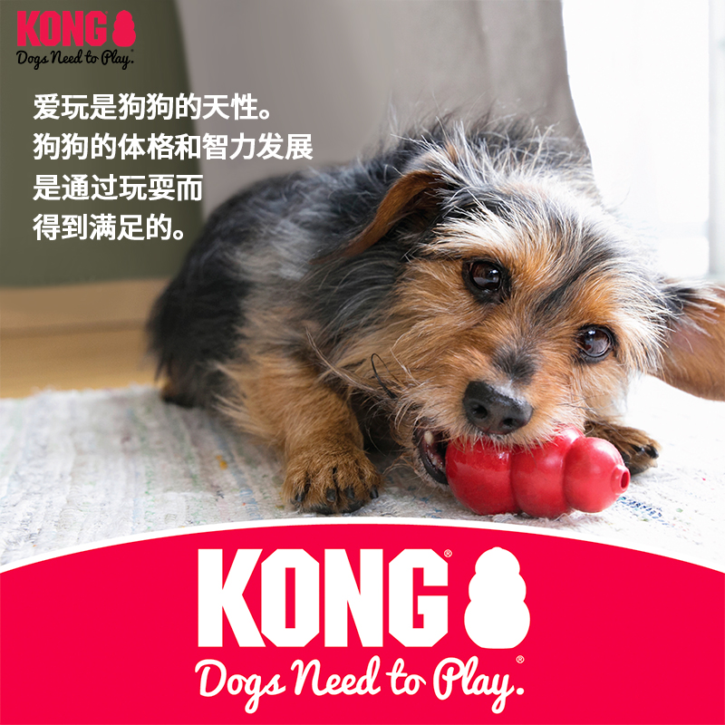 KONG狗玩具耐咬橡胶骨头磨牙金毛边牧宠物大型犬自嗨解闷漏食玩具-图3