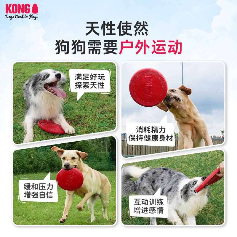 KONG狗狗飞盘耐咬磨牙解闷小型犬宠物户外训练边牧专用飞碟玩具