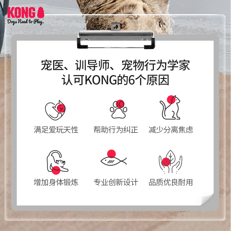 KONG猫咪玩具仿真补丁熊毛绒玩偶猫薄荷自嗨解闷宠物发声响纸玩具