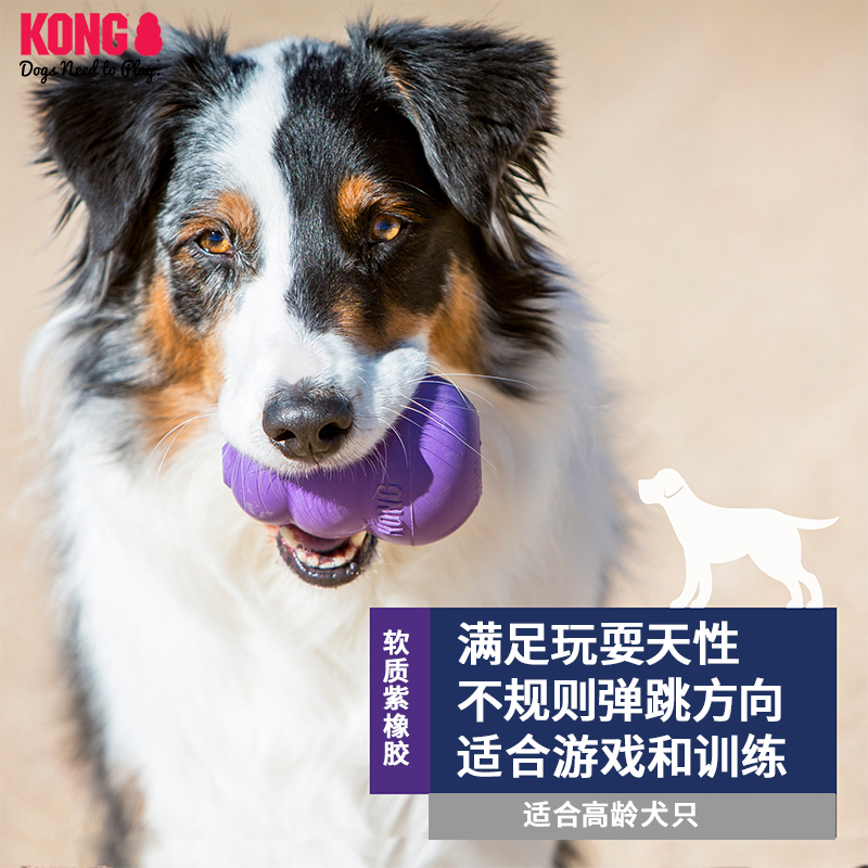 KONG狗狗玩具漏食球橡胶葫芦老龄犬解闷耐咬磨牙宠物益智藏食玩具 - 图0