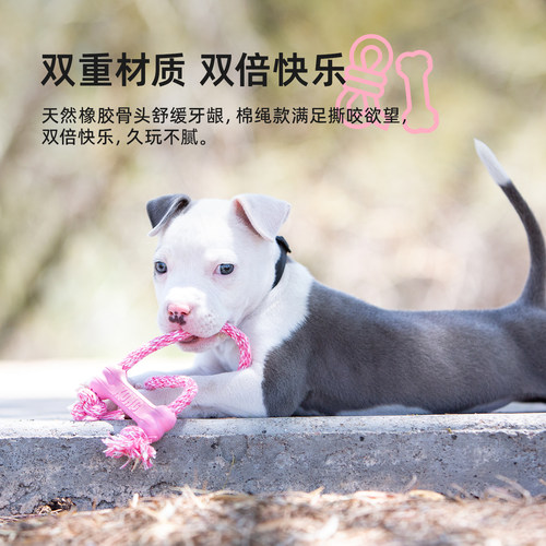 KONG绳结骨头玩具耐咬天然橡胶小型犬智力训练幼犬磨牙棒狗玩具 - 图1