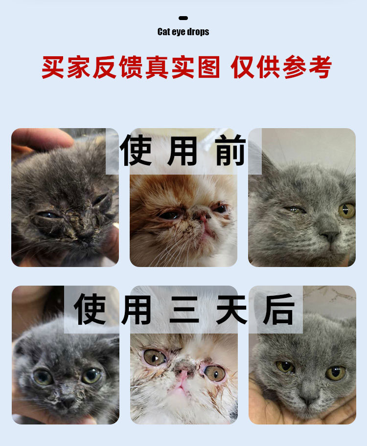 博莱得利猫鼻支滴眼液猫咪疱疹病毒杯状病毒感染结膜炎猫用眼药水 - 图0