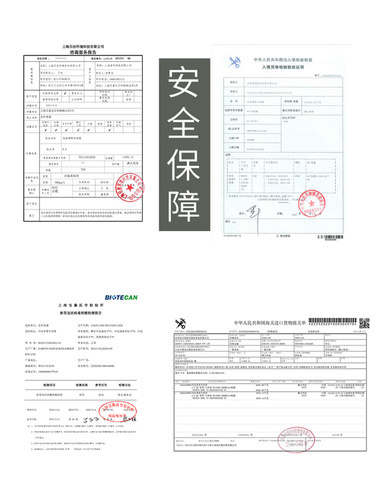 新鲜牛尾巴 进口谷饲原切整根牛尾骨商用牛肉带肉牛尾煲汤 800g装 - 图2