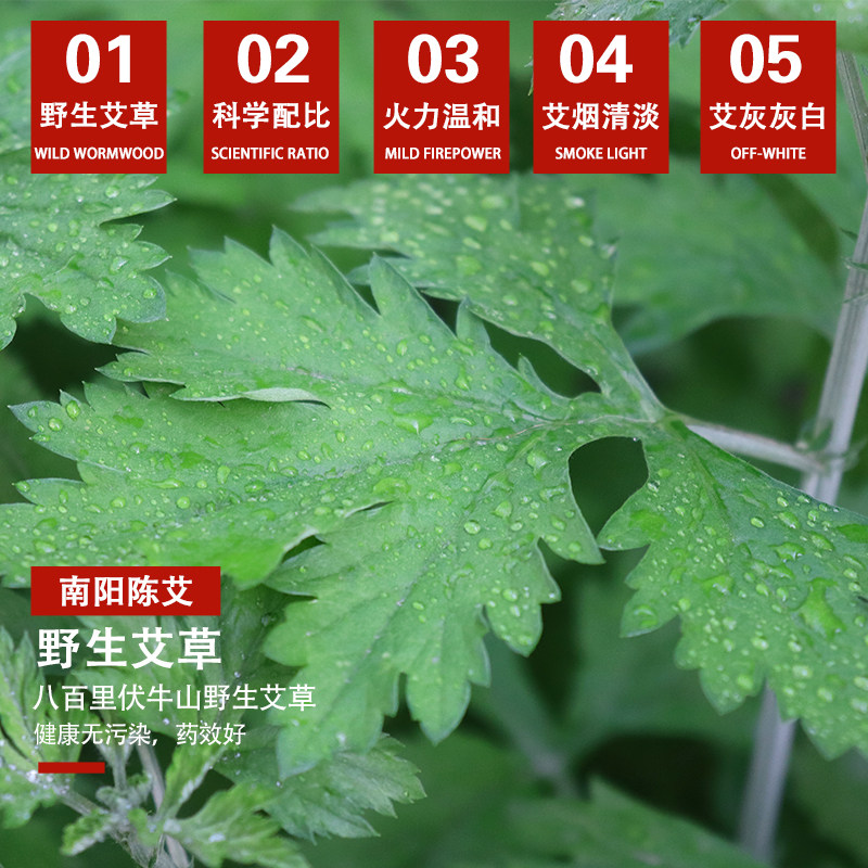 7cm艾条悬灸条艾柱特粗艾灸按摩穴位棒三年陈艾南阳艾雷火灸批售,淘宝优惠券,粉丝福利购,淘宝优惠卷