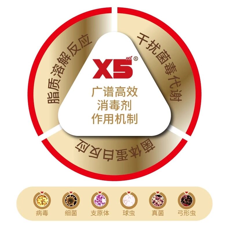 x5消毒液宠物猫瘟猫藓狗狗猫咪专用家用除臭剂祛味喷雾水杀菌拖地 - 图1