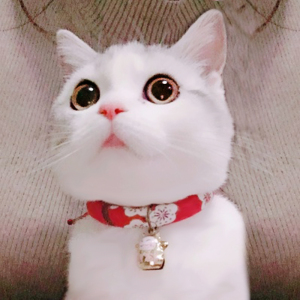 日本和风手工猫项圈猫铃铛