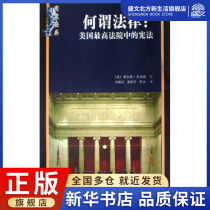 What is meant by law-the Constitution in the U.S. Supreme Court