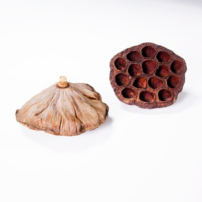 天然干花莲蓬头复古中国风背景道具珠宝首饰美食干货摆拍照相摄影,淘宝优惠券,粉丝福利购,淘宝优惠卷