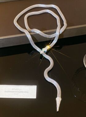 欧美夸张个性镶钻蛇形项链女轻奢高级感流苏锁骨链项饰腰链配饰潮