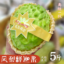 Milk Fresh Sakfruit 5 catties of the season Tropical fruits Big fruits The caravan Buddha head 1 catty Non-Taiwan
