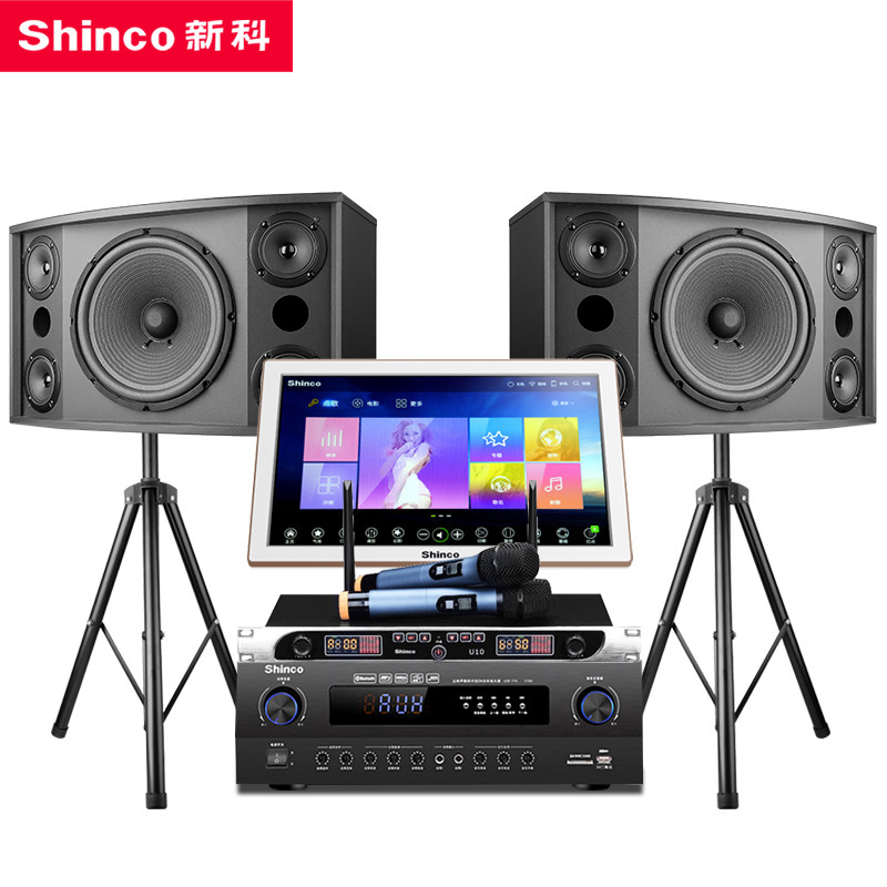 新科d5家庭ktv套装卡拉ok家用音响 新科数字未来KTV/卡拉OK音箱