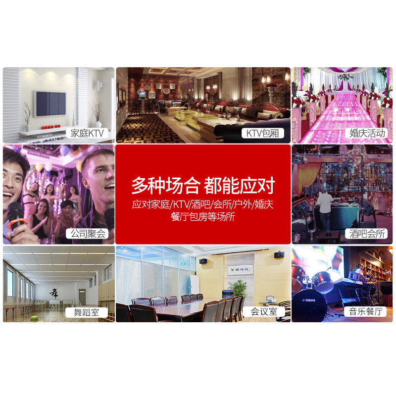 新科d5家庭ktv套装卡拉ok家用音响 新科数字未来KTV/卡拉OK音箱