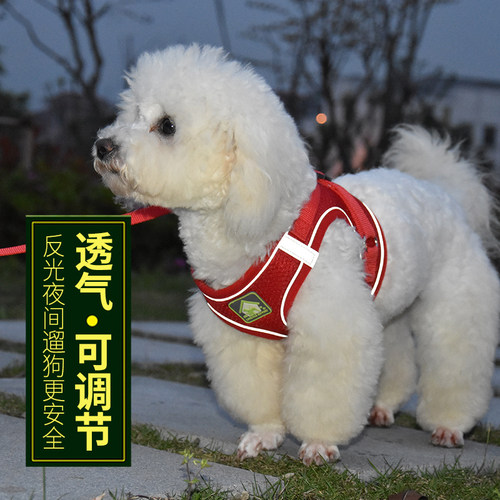 背心式狗狗牵引绳泰迪小型犬比熊博美胸背带小狗幼犬遛狗绳狗链子 - 图0