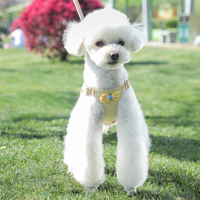 韩版网红背心式狗狗牵引绳小型犬泰迪比熊博美胸背带遛狗绳狗链子 - 图0