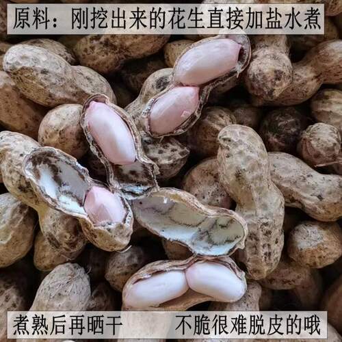 新鲜水煮花生晒干原味广西柳州酒席结婚用即食钓鱼零食 - 图0