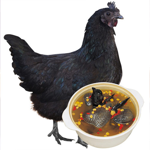 2只乌鸡新鲜宰杀正宗精品五黑鸡土鸡农家散养乌骨鸡老母鸡整只 - 图3