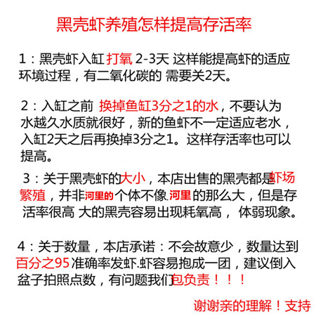 黑壳虾冷水除藻虾包邮观赏虾宠物虾清洁虾活体虾苗饲料水族箱鱼缸-图0