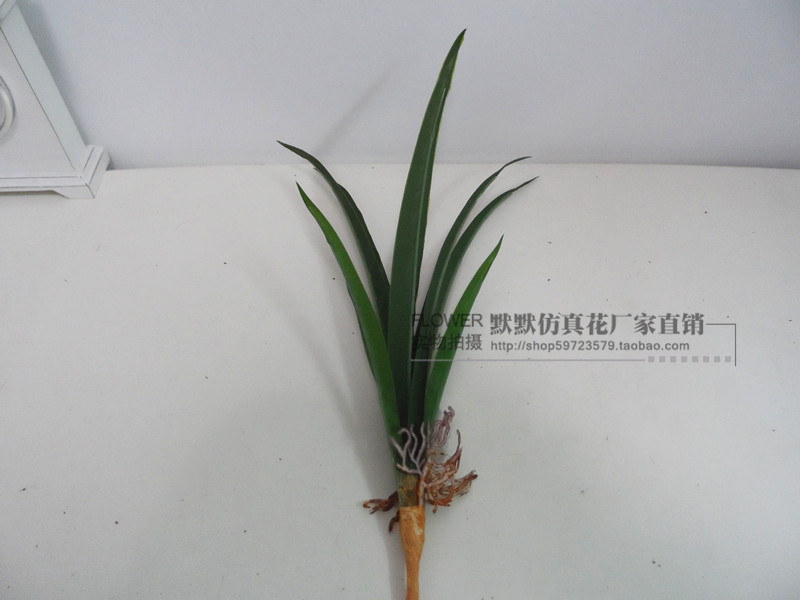 仿真胶片布7片小兰花叶/植物墙插花配叶 - 图0