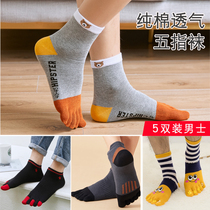 Blue Pose Hin Five Fingers Socks Men Pure Cotton Deodorant Foot Gas Division Finger Toe Short Unification Autumn Winter Thickening Middle Cylinder Whole Cotton