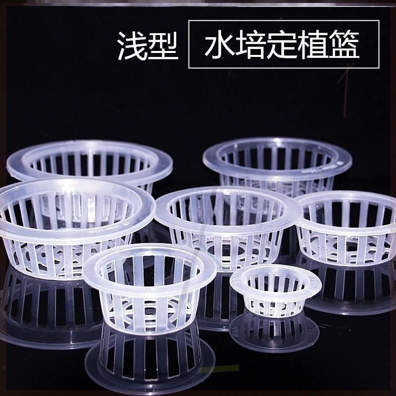 花瓶固定推荐品牌 新人首单立减十元 21年6月 淘宝海外