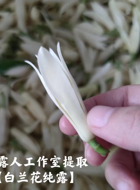 白兰花纯露抗氧化提亮CLR/采露人