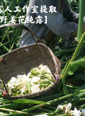 野姜花纯露控油抗氧化私人
