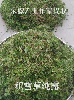 单方积雪草纯露CLR/采露人补水修
