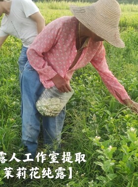 茉莉花纯露细腻改善CLR/采露人
