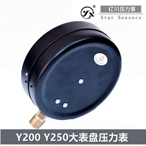 上海亿川Y200 Y250压力表0-0.6 1 1.6 2.5MPA水压气压锅炉压力表 - 图2