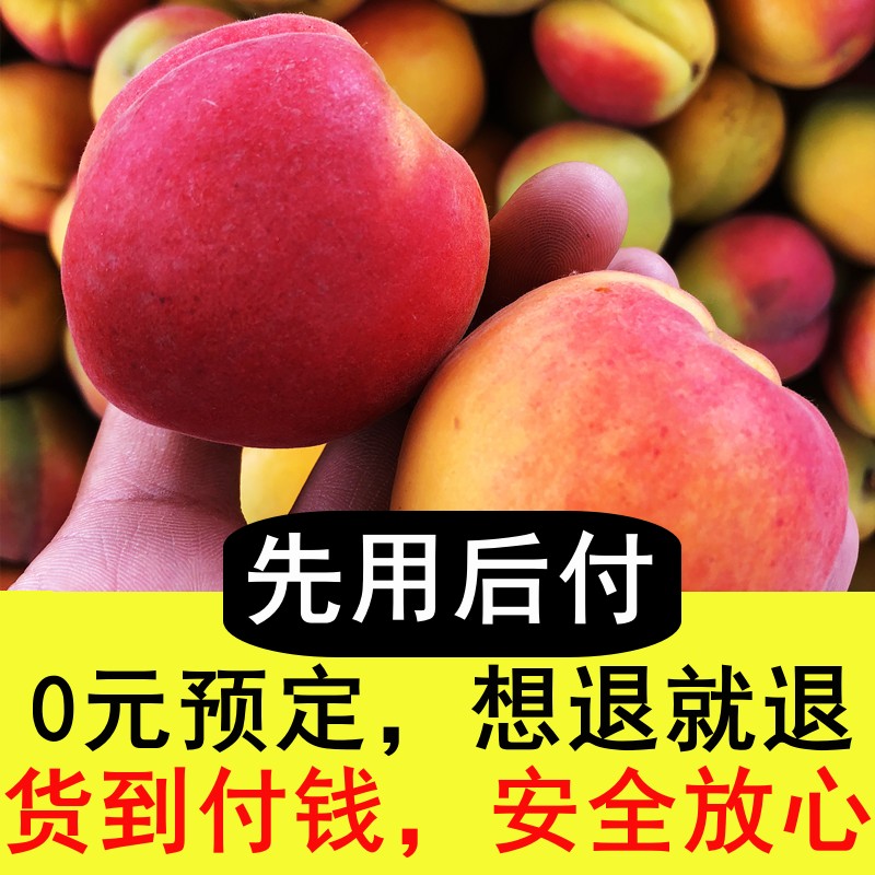 河北大红杏当季新鲜水果杏子整箱脆酸甜黄杏孕妇贵妃酸杏5斤包邮,淘宝优惠券,粉丝福利购,淘宝优惠卷