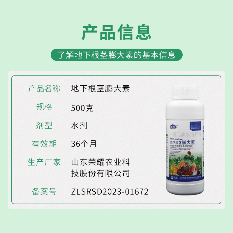 地下根茎膨大素土豆专用红薯控旺膨大素块茎膨大剂番薯宝宝叶面肥 - 图1