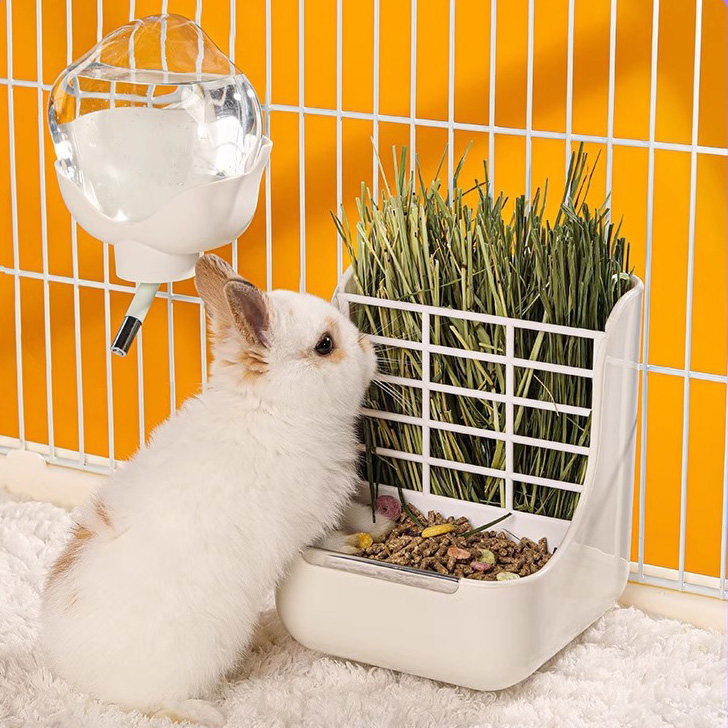 兔兔草架二合一食盆兔子喂食器豚鼠龙猫松鼠防啃咬食盒可固定,淘宝优惠券,粉丝福利购,淘宝优惠卷