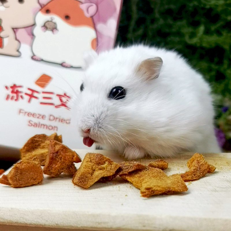 包邮冻干无花果干鸡肉三文鱼肉丁草莓苹果豆腐仓鼠零食熊仔饲料 - 图1