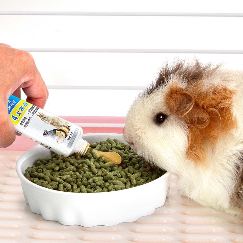 兔博士乳酸菌营养膏增进龙猫荷兰猪食欲维持肠道健康兔子软化膏,淘宝优惠券,粉丝福利购,淘宝优惠卷