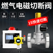 Industrial Commercial Gas Emergency Cut Off Valve Hotel Natural Gas Liqueur gas pipe solenoid valve DN25 50