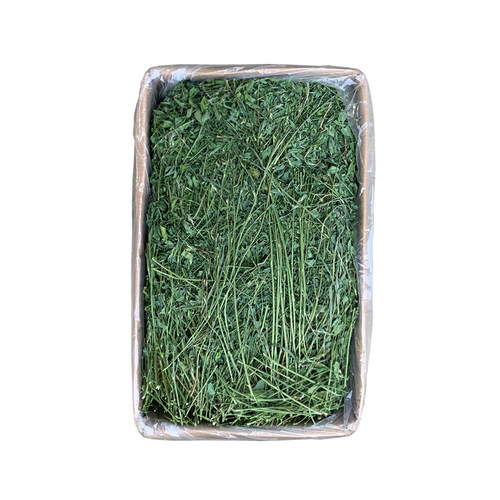 新2025年烘干优质紫花苜蓿草毛重1000克幼年兔荷兰猪龙猫豚鼠牧草 - 图2
