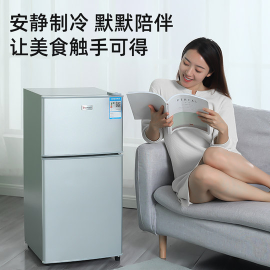 志高一级节能小冰箱家用小型宿舍租房用迷你省电办公室双门电冰箱