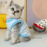 Одежда для любимых собак детское хлопковое плюшевое молоко собака йоркшамальзис котенок молоко кот теплый дно одежда