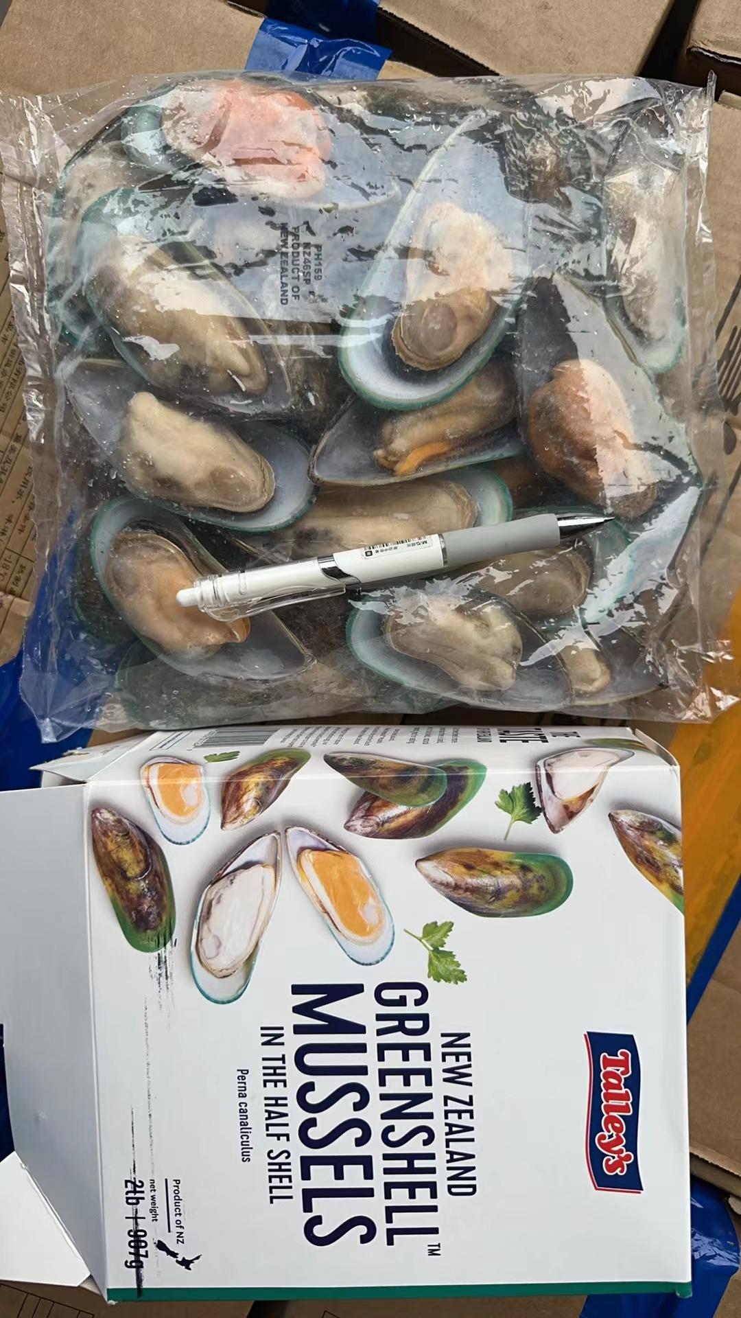 新西兰泰利半壳青口贝冷冻L号有冰海虹海鲜火锅烧烤食材水产贝类 - 图2