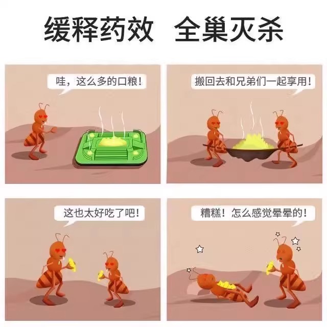 蚂蚁药家用端窝除蚁神器厨房室内菜地饵剂杀红火黑黄蚂蚁灭粉剂装 - 图2